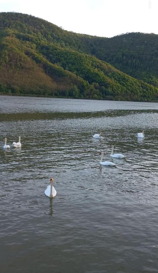 Cabana Bro Clisura Dunarii Villa Liborajdea Dış mekan fotoğraf